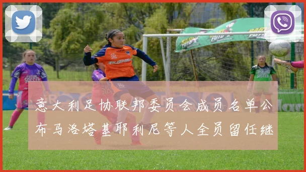 意大利足协联邦委员会成员名单公布马洛塔基耶利尼等人全员留任继续服务